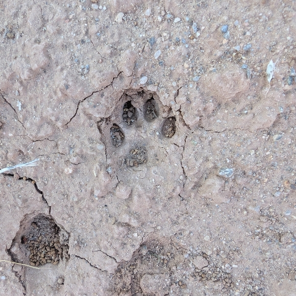 Make Offers - Picture 2 of 2